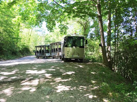Le petit train