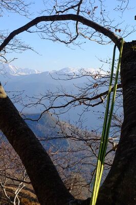 Haut Perché Grimpe d'Arbres