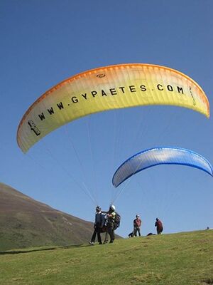 gypaetes - parapente en tandem