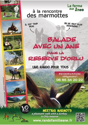 balade dans la réserve d'orlu avec un âne