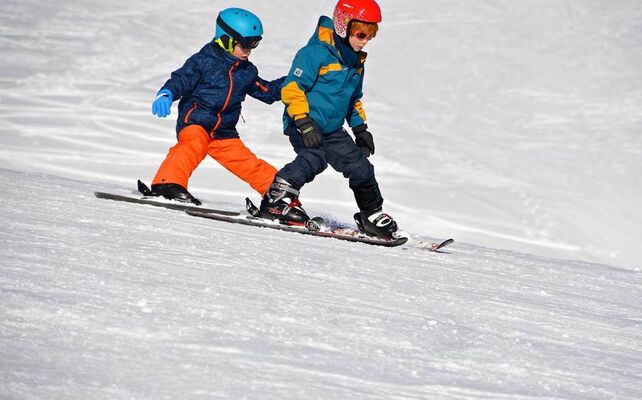 Beille alpin