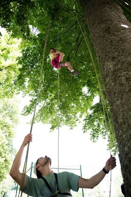 Haut Perché Grimpe d'Arbres