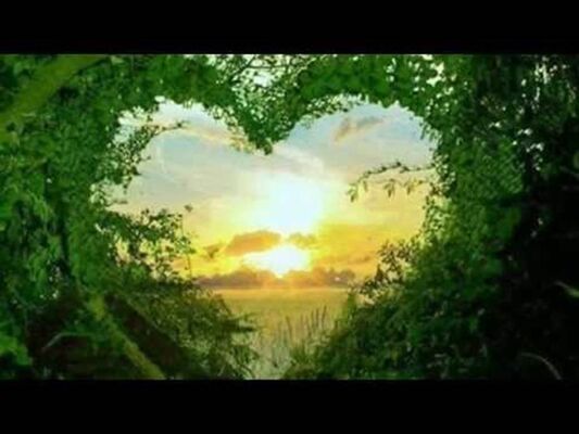 Coeur Nature