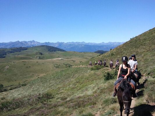 écrin des cimes, les chevaux en randonnée