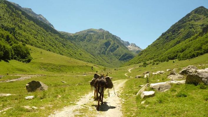 âne réserve d'orlu