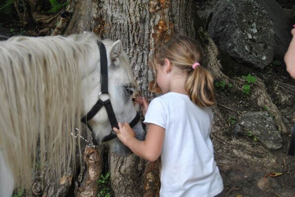 écrin des cimes, les enfants et les poneys
