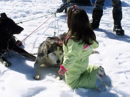 chien enfant