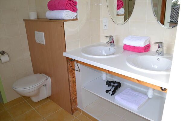 Grand gîte - salle de bain