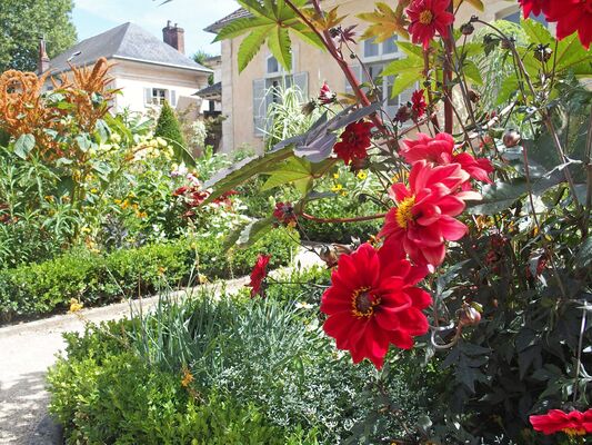 2019-07-22---Jardins-Orangerie---OTSens-2-