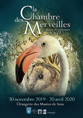 A3-chambre-merveilles-oiseau-2
