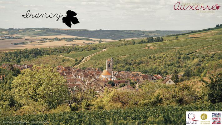 Irancy