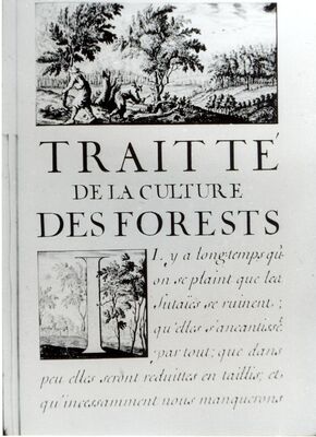 Visuel-Traite-sur-la-foret