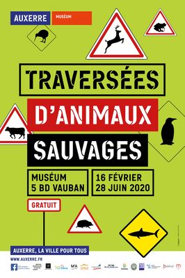 Visuel-Traversees-d-animaux-sauvages-Museum-Auxerre-compresse
