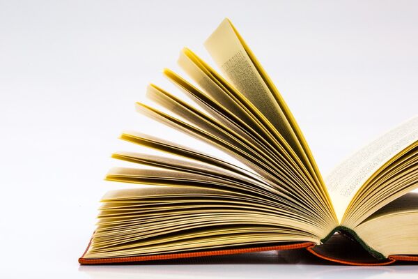 livre-ouvert-14
