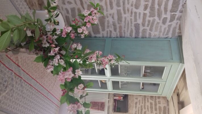 Printemps