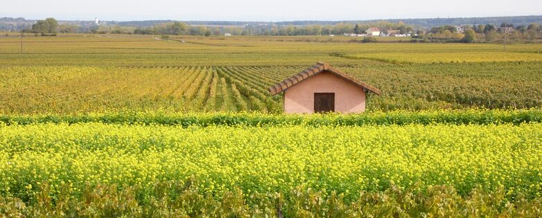 Beaune séjour
