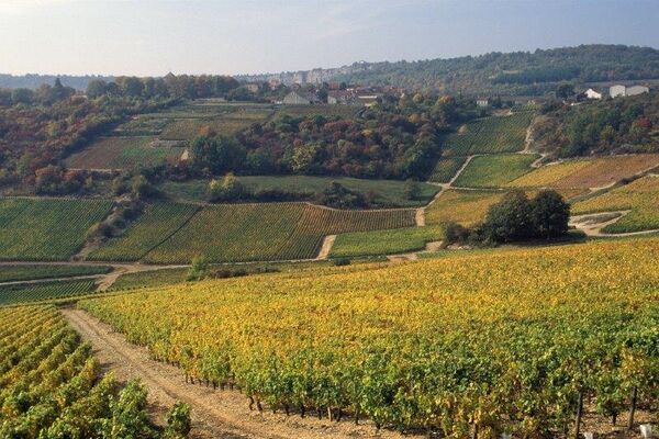 Printemps de Vignes et Villages à Saint-Romain