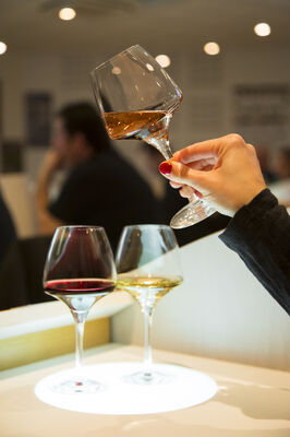 Ecole des Vins de Bourgogne _ dégustation