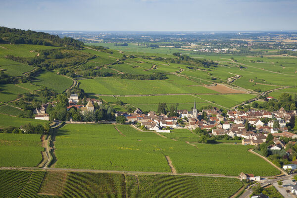 Santenay credit bivb aurelien ibanez
