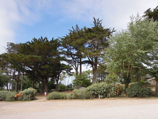 dscn5325-254213