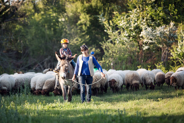ferme-d-emilie-basse-def-25-sur-88-251202