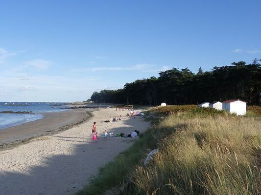 plage-des-sapins-ile-d-yeu-24744