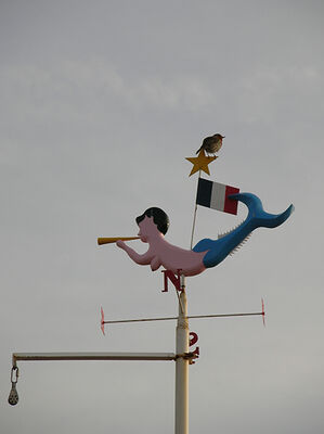 rougegorgegirouette-sd-yeu-110222