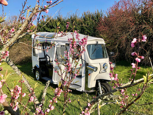 tuktuk-cerisier-259146