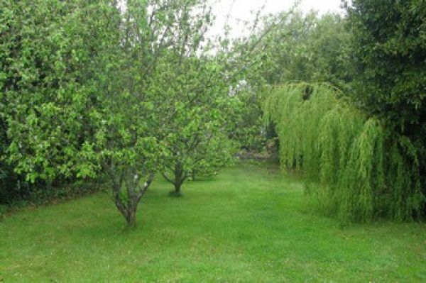 jardin-1-719