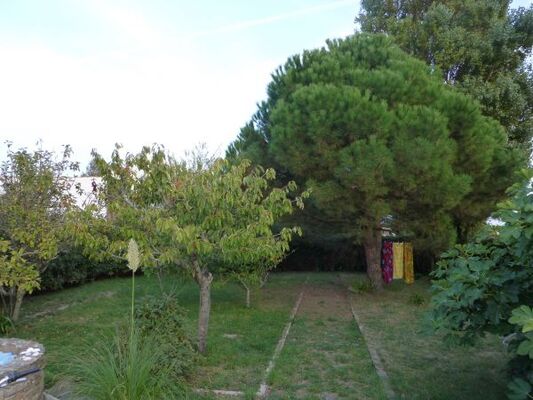 jardin-option-site-2014-2481