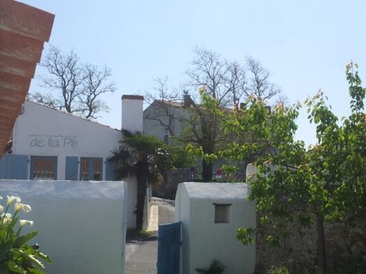 n-15-vue-jardin-vers-le-sud-114620