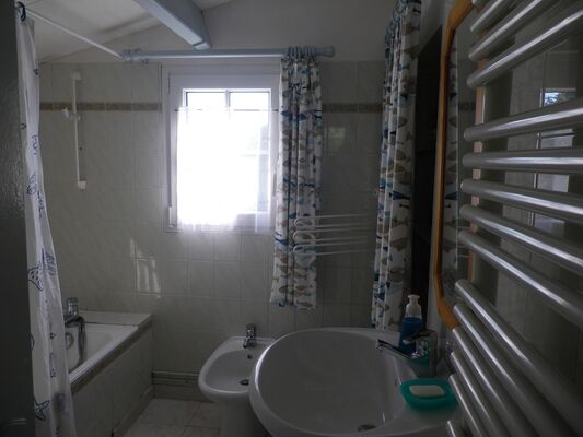 salle-d-eau-modifiee-132629