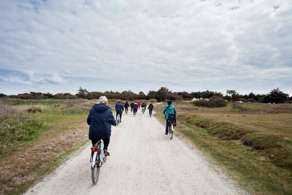 visites-guidee-patrimoine-ile-d-yeu-service-patrimoine-de-l-ile-d-yeu-3-133454