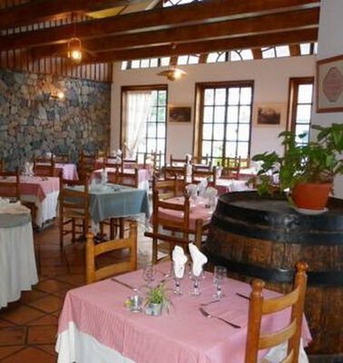 Vieux Cep (Le)