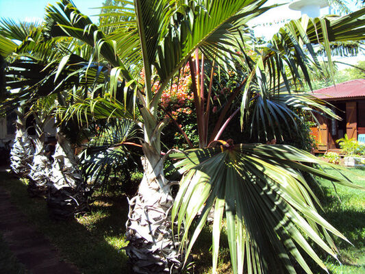 Chez Madame Queland