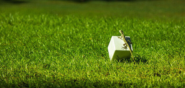 Golf Club de Bourbon