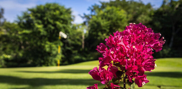 Golf Club de Bourbon
