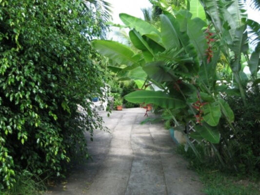 Bungalows du Piton (Les)