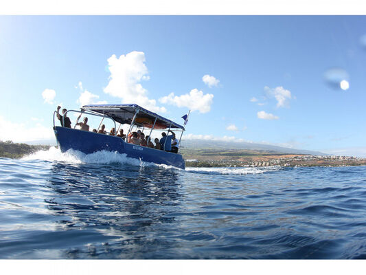 Bleu Marine Réunion
