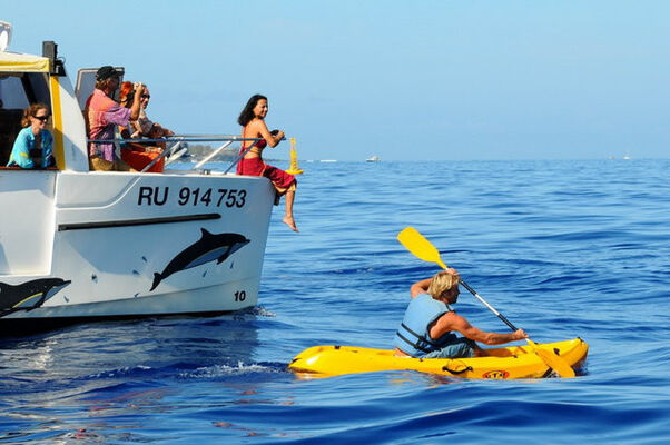 Croisière Safari