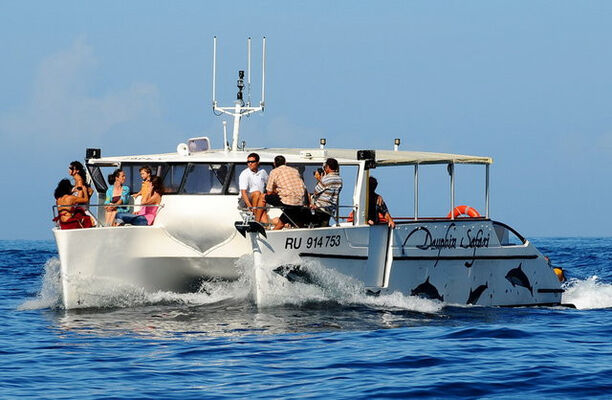 Croisière Safari