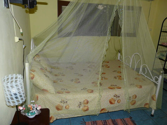 Gîte Orchidée
