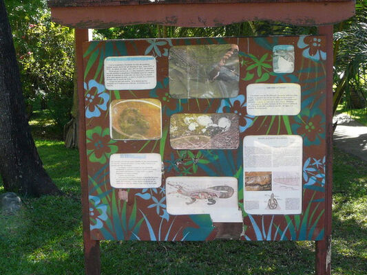 Croc Parc