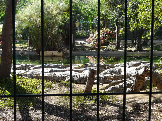 Croc Parc