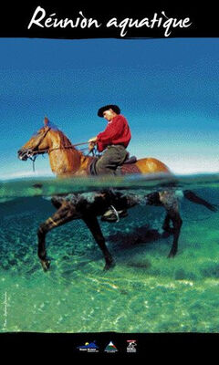 Ferme Equestre du Grand-Etang