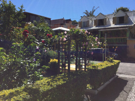 Orchidée Rose (L')