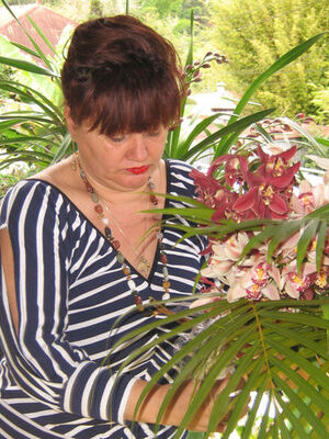 Orchidée Rose (L')