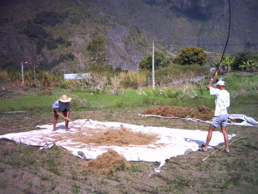 Domaine Papangue