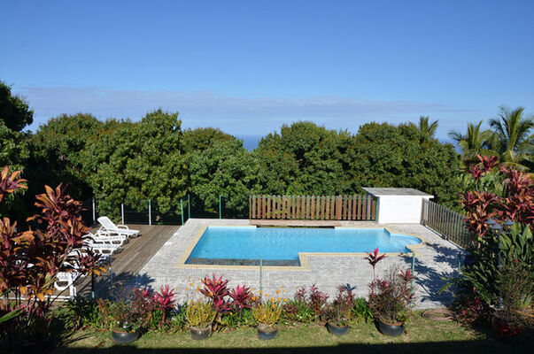Zoiseaux Paradis