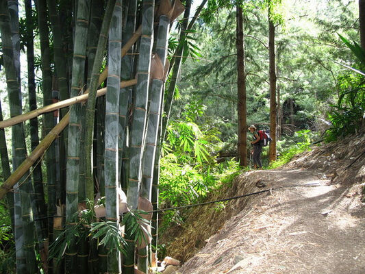Rando Trek Réunion